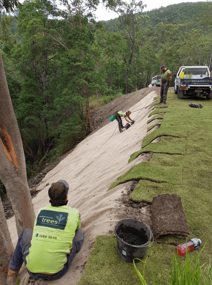 Embankment Stabilisation Samford Valley 1