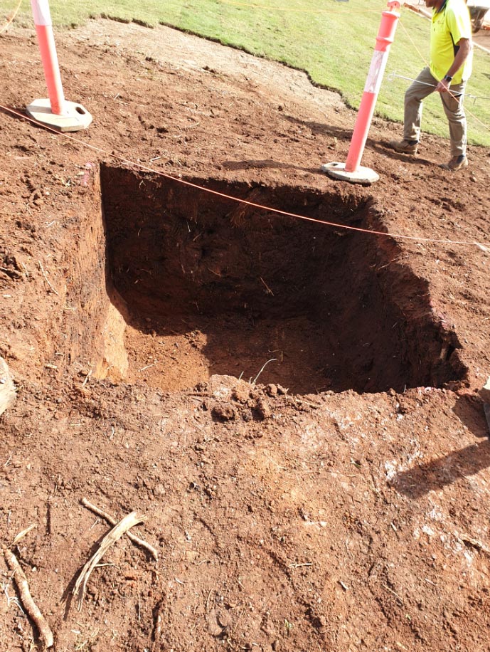Tree Planting Pot Hole Dig