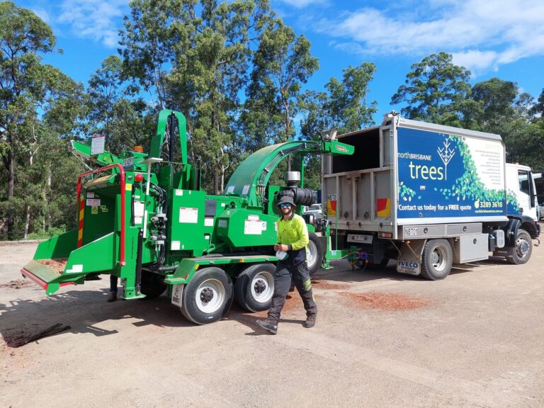 Tree Services Brisbane - Tree Removals, Stump Grinding, Lopping & Pruning