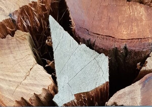 Photo 17 Seasoned Firewood Close Up2